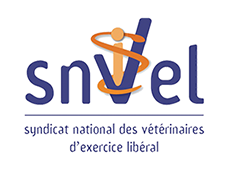 snvel-vignette